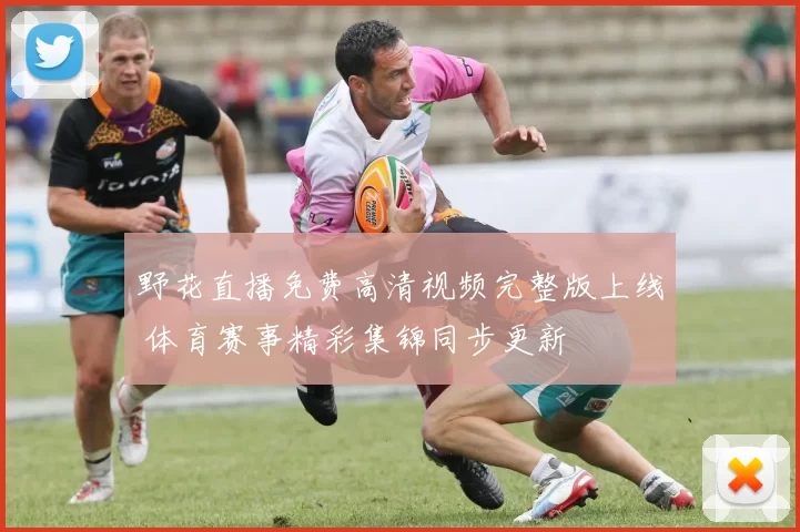 野花直播免费高清视频完整版上线 体育赛事精彩集锦同步更新