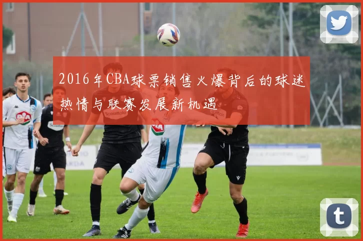 2016年CBA球票销售火爆背后的球迷热情与联赛发展新机遇