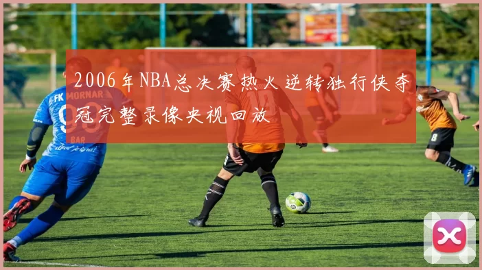 2006年NBA总决赛热火逆转独行侠夺冠完整录像央视回放