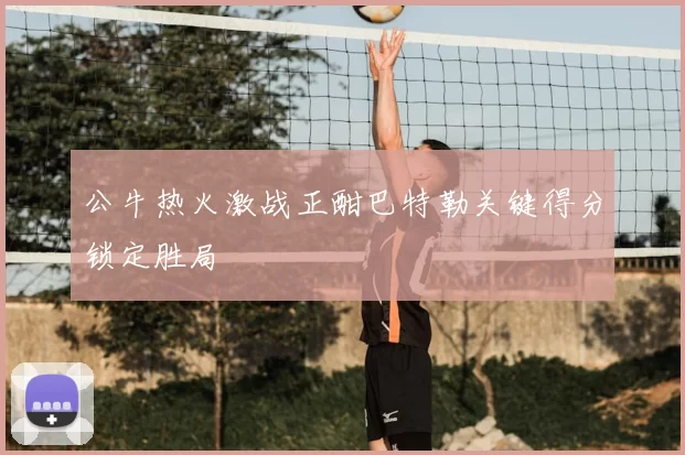 公牛热火激战正酣巴特勒关键得分锁定胜局