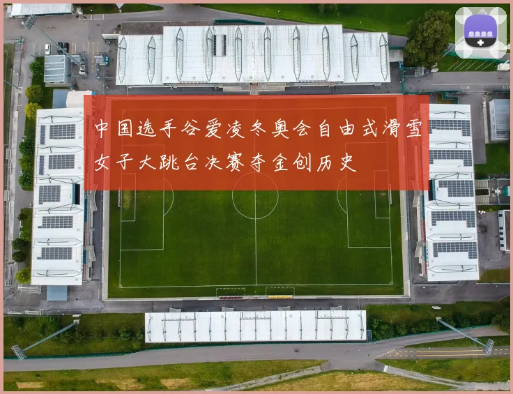 中国选手谷爱凌冬奥会自由式滑雪女子大跳台决赛夺金创历史