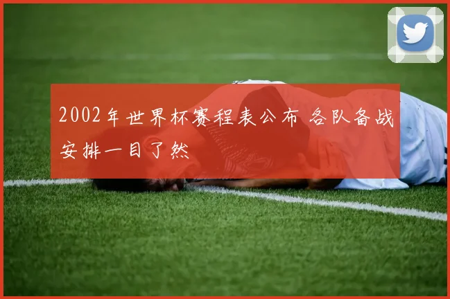 2002年世界杯赛程表公布 各队备战安排一目了然