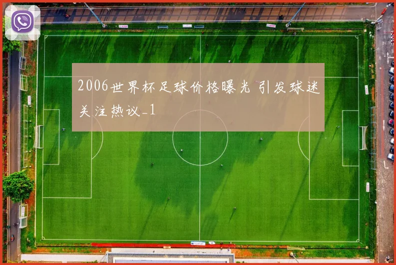 2006世界杯足球价格曝光 引发球迷关注热议_1